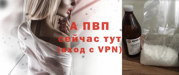 крисы Абаза