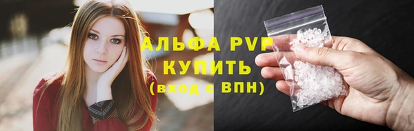 крисы Абаза
