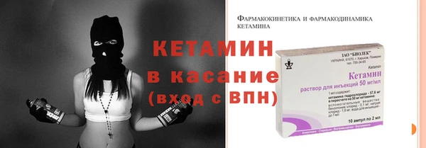 крисы Абаза