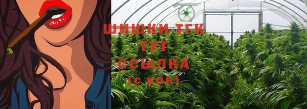 крисы Абаза