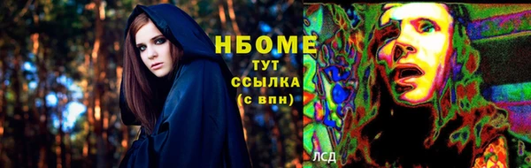 крисы Абаза