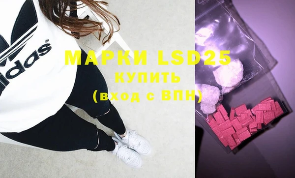 крисы Абаза